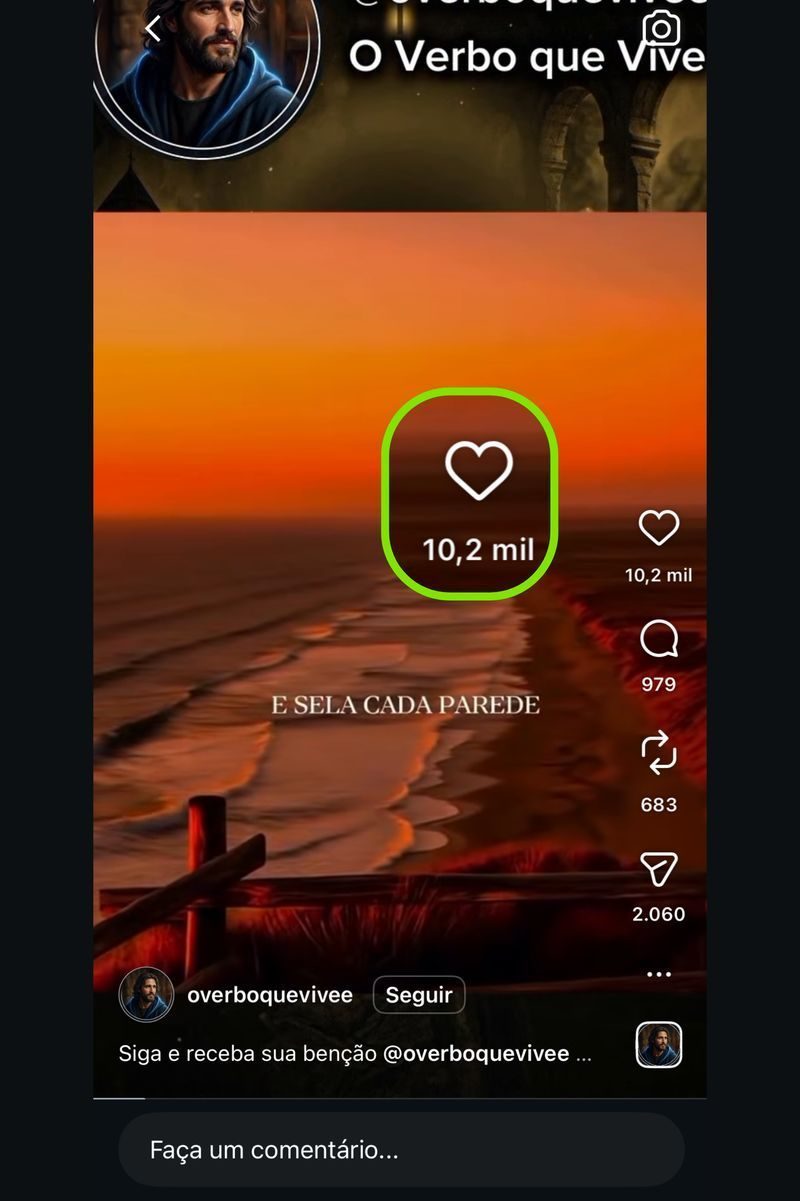 Vídeo feito pelo programa